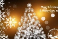 Желаем Вам счастливого Рождества и удачного Нового Года! 